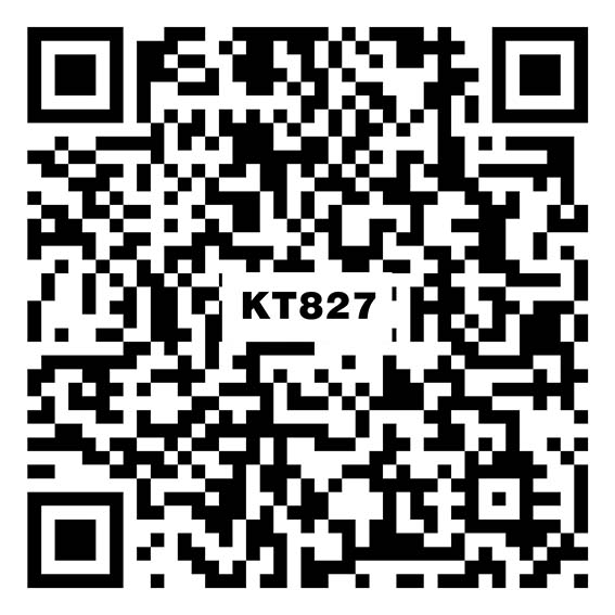 布拉达  KT827