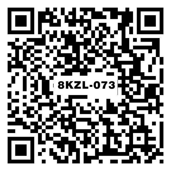 戴克斯咖 8KZL-073