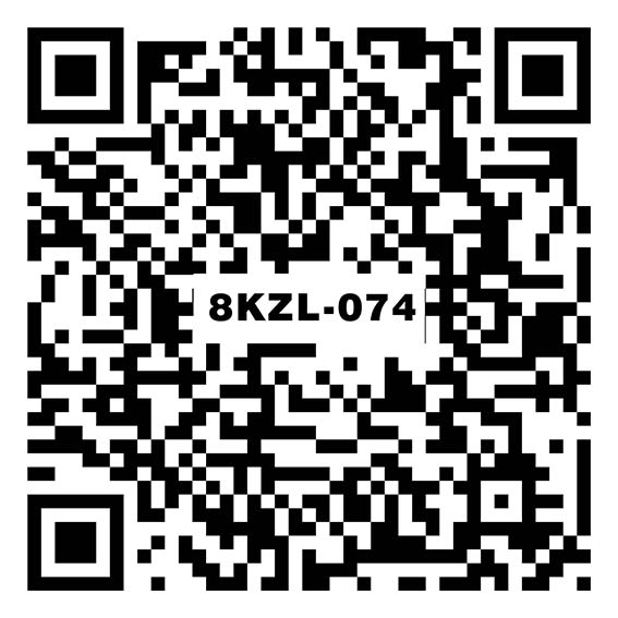 妮卡浅黄 8KZL-074