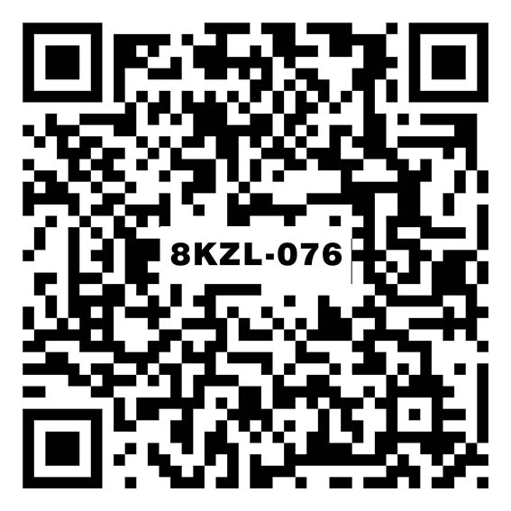 妮卡浅灰 8KZL-076