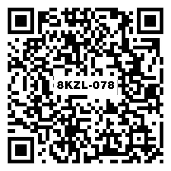 戴克斯咖浅灰8KZL-078