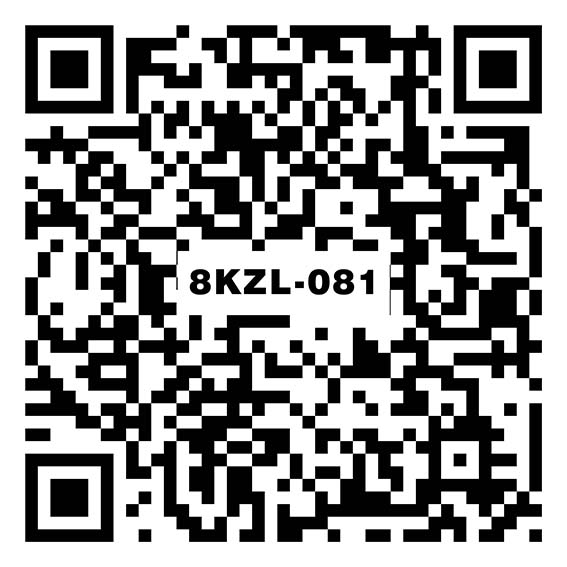 素雅暖灰8KZL-081